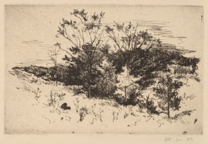 Jesienne Avondale autorstwa John Henry Twachtman