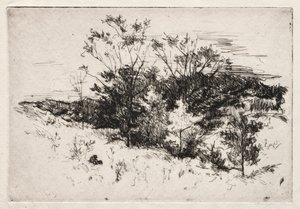 Krajobraz jesienny, 1879-80.