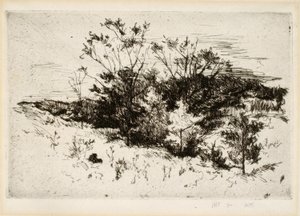 Krajobraz w pobliżu Cincinnati autorstwa John Henry Twachtman
