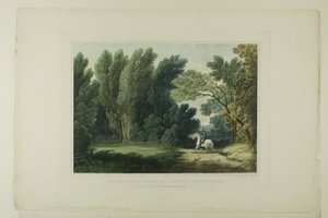 Widok miejsca, w którym padł generał Ross, w pobliżu Baltimore, płyta szósta z pierwszej liczby Malowniczych widoków amerykańskiej scenerii autorstwa John Hill
