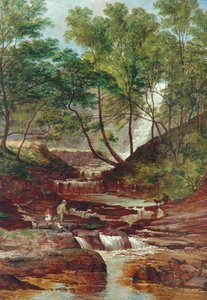 Kot Dziury Tama Upadek w Todmorden, 1870