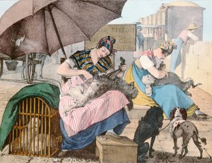 Groomerzy dla psów, 1820