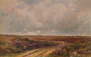 Burzowy dzień na Surrey Common, XIX-XX w., 1935
