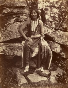 [Mały Niedźwiadek, Cheyenne]