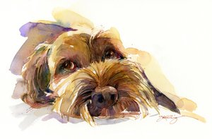 Portret Charliego, 2015 (akwarela)