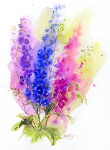 Delphinium, 2016, (akwarela)
