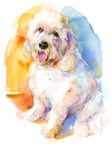 Portret Olivera, 2016, (akwarela)
