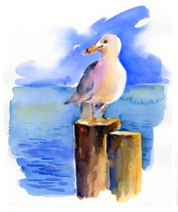 Mewa w porcie, 2014, (akwarela) autorstwa John Keeling