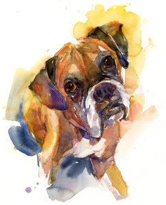 Portret Stanleya, 2016, (akwarela)