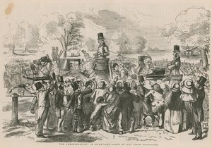 Demonstracja w Hyde Parku autorstwa John Leech