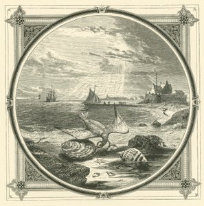 Nadgryziony ugryziony (grawerunek) autorstwa John Leighton