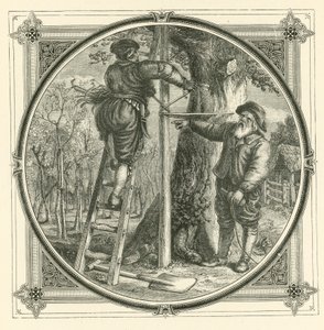 Gałęzie mogą być trenowane, ale nie pień (grawerowanie) autorstwa John Leighton