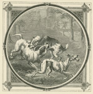 Psy i kość (grawerowanie) autorstwa John Leighton