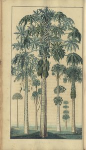 Strona z „Elegancies of Jamaica”, 47 autorstwa John Lindsay