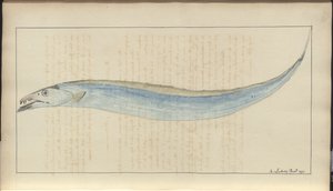 Rysunki Lindsay tom. VII, 9 autorstwa John Lindsay