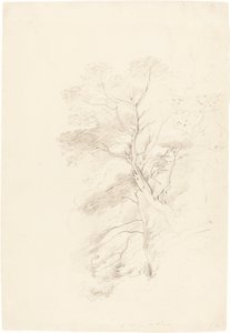Drewno bukowe autorstwa John Linnell