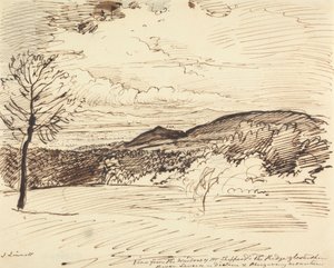 Widok z okna pana Shepparda, The Ridge, Gloucestershire autorstwa John Linnell
