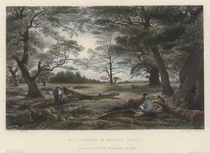 Wycinanie drewna w lesie Windsor (kolorowe grawerowanie) autorstwa John Linnell