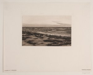 Plaża Tisvilde