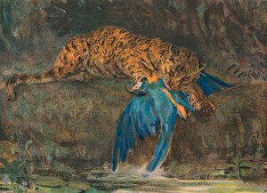 Jaguar i Ara, koniec XIX wieku