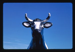 Szczegół statuetki krowy Chatty Belle, sklep z serami i upominkami, Neillsville, Wisconsin, USA autorstwa John Margolies