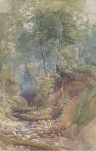 Strumień w pobliżu Clovelly, North Devon, 1850.