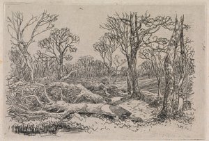 Ścięte drewno, Burningham
