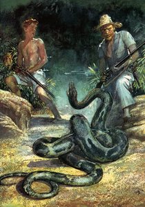 Szwajcarska rodzina Robinsonów autorstwa John Millar Watt