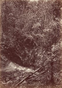 Ekspedycja Darien, 1871 r. (zdjęcie)