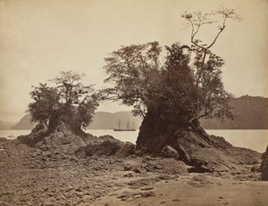 Wyspy w Lemon Bay, 1871.
