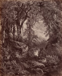 Samotność, 1865 (zdjęcie)