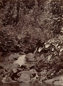 Tropikalna sceneria, Kaskada, rzeka Limon, 1871.