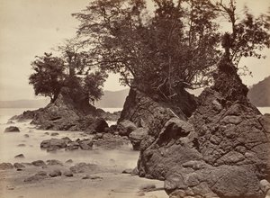 Tropikalna sceneria, Zatoka Limon - Odpływ, 1871.