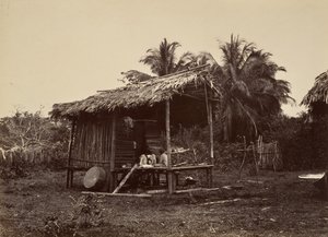 Tropikalna sceneria, chata rodzima, Turbo, 1871. autorstwa John Moran
