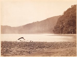 Tropikalna sceneria: Koniec proponowanego kanału, zatoka Limon (Darien Expedition) autorstwa John Moran