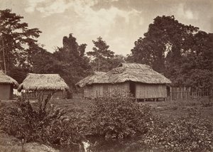 Tropikalna sceneria, Turbo Village, 1871.