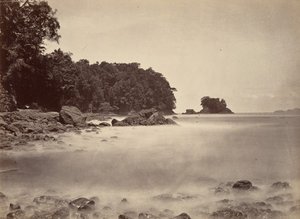 Tropikalna sceneria, Widok na zatokę Limon, 1871.