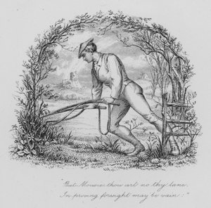 Robert Burns: Do myszy (rycina)