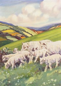 Ilustracja dla Beautiful Joe autorstwa Marshalla Saundersa (kolorowa litografia) autorstwa John Nicholson