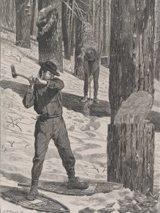 Trzepanie zimą w każdą sobotę, tom. II, Nowa seria, 28 stycznia 1871.