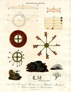 Teoria ruchu i grzyby Mucor autorstwa John Pass