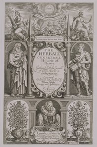 Strona tytułowa do drugiego wydania "Herballa" Johna Gerarda (1564-1612) 1633 autorstwa John Payne
