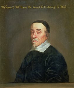 Portret Williama Harveya (1578-1657)