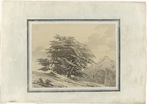 Cedr autorstwa John Robert Cozens