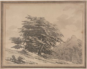 Nakreślenia ogólnych rozgałęzień charakteru i ulistnienia drzew leśnych: Cedr, 1789. autorstwa John Robert Cozens