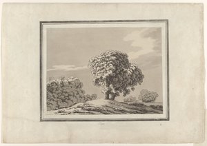 Wiąz autorstwa John Robert Cozens