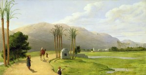 Asjut nad Nilem, 1873
