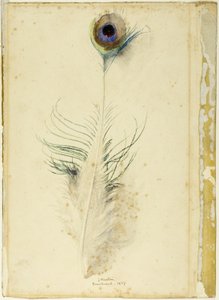 Pióro pawia autorstwa John Ruskin