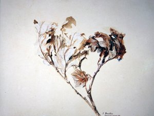 Studium liści dębu autorstwa John Ruskin