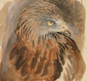 Głowa latawca, z życia, 30 sierpnia - 1 września 1870. autorstwa John Ruskin